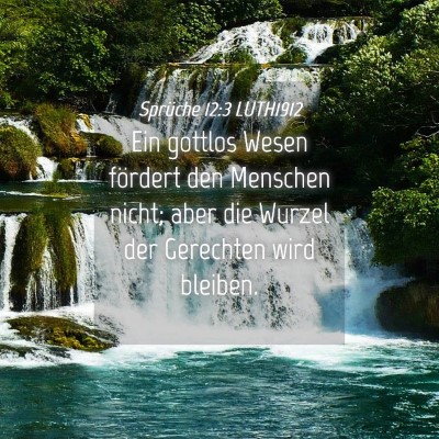 Picture 04 - Sprüche 12:3 LUTH1912 - Ein gottlos Wesen fördert den Menschen nicht; - Bible Verse Picture