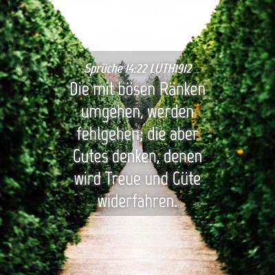Picture 04 - Sprüche 14:22 LUTH1912 - Die mit bösen Ränken umgehen, werden fehlgehen; - Bible Verse Picture