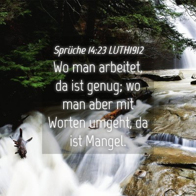 Picture 04 - Sprüche 14:23 LUTH1912 - Wo man arbeitet, da ist genug; wo man aber mit - Bible Verse Picture
