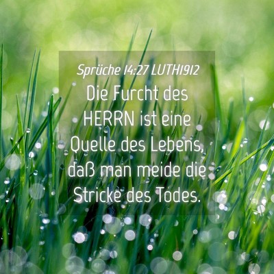 Picture 04 - Sprüche 14:27 LUTH1912 - Die Furcht des HERRN ist eine Quelle des Lebens, - Bible Verse Picture