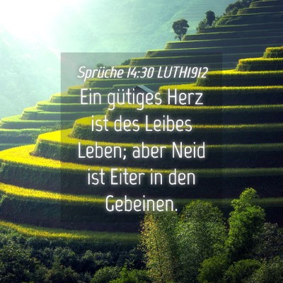Picture 04 - Sprüche 14:30 LUTH1912 - Ein gütiges Herz ist des Leibes Leben; aber Neid - Bible Verse Picture