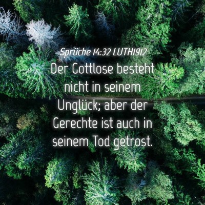 Picture 04 - Sprüche 14:32 LUTH1912 - Der Gottlose besteht nicht in seinem Unglück; - Bible Verse Picture