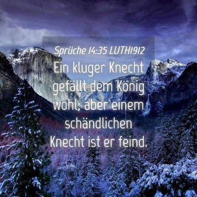 Picture 04 - Sprüche 14:35 LUTH1912 - Ein kluger Knecht gefällt dem König wohl; aber - Bible Verse Picture