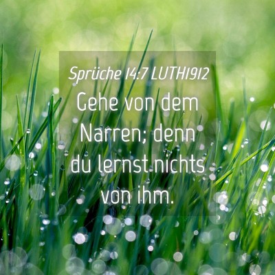 Picture 04 - Sprüche 14:7 LUTH1912 - Gehe von dem Narren; denn du lernst nichts von - Bible Verse Picture