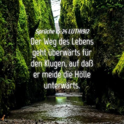 Picture 04 - Sprüche 15:24 LUTH1912 - Der Weg des Lebens geht überwärts für den - Bible Verse Picture