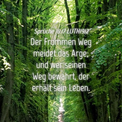 Picture 04 - Sprüche 16:17 LUTH1912 - Der Frommen Weg meidet das Arge; und wer seinen - Bible Verse Picture