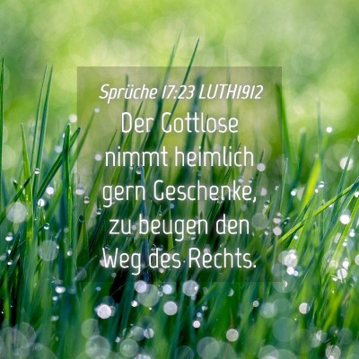 Picture 04 - Sprüche 17:23 LUTH1912 - Der Gottlose nimmt heimlich gern Geschenke, zu - Bible Verse Picture