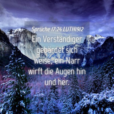 Picture 04 - Sprüche 17:24 LUTH1912 - Ein Verständiger gebärdet sich weise; ein Narr - Bible Verse Picture