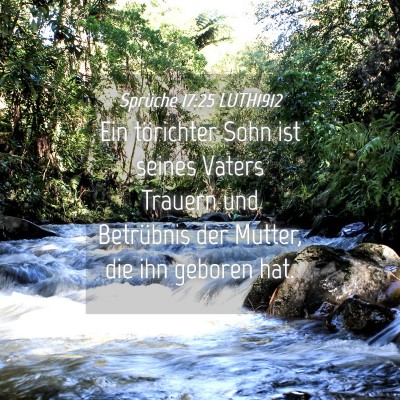 Picture 04 - Sprüche 17:25 LUTH1912 - Ein törichter Sohn ist seines Vaters Trauern und - Bible Verse Picture