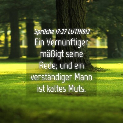 Picture 04 - Sprüche 17:27 LUTH1912 - Ein Vernünftiger mäßigt seine Rede; und ein - Bible Verse Picture