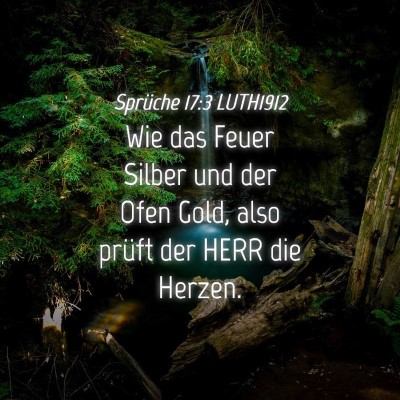Picture 04 - Sprüche 17:3 LUTH1912 - Wie das Feuer Silber und der Ofen Gold, also - Bible Verse Picture