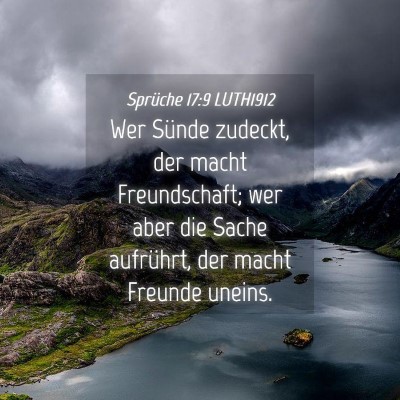 Picture 04 - Sprüche 17:9 LUTH1912 - Wer Sünde zudeckt, der macht Freundschaft; wer - Bible Verse Picture