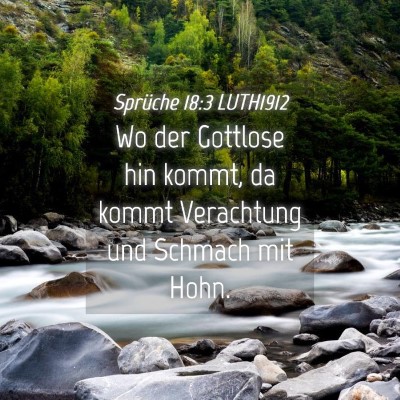 Picture 04 - Sprüche 18:3 LUTH1912 - Wo der Gottlose hin kommt, da kommt Verachtung - Bible Verse Picture