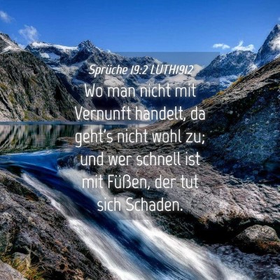 Picture 04 - Sprüche 19:2 LUTH1912 - Wo man nicht mit Vernunft handelt, da geht's - Bible Verse Picture