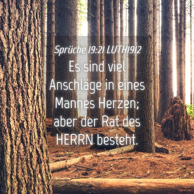Picture 04 - Sprüche 19:21 LUTH1912 - Es sind viel Anschläge in eines Mannes Herzen; - Bible Verse Picture