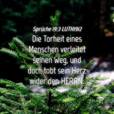 Picture 04 - Sprüche 19:3 LUTH1912 - Die Torheit eines Menschen verleitet seinen Weg, - Bible Verse Picture