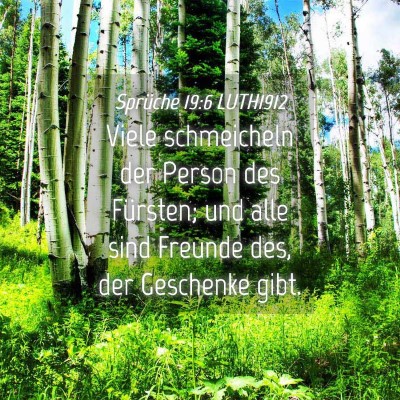 Picture 04 - Sprüche 19:6 LUTH1912 - Viele schmeicheln der Person des Fürsten; und - Bible Verse Picture