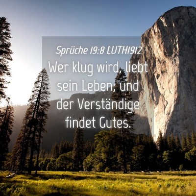 Picture 04 - Sprüche 19:8 LUTH1912 - Wer klug wird, liebt sein Leben; und der - Bible Verse Picture