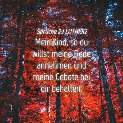 Picture 04 - Sprüche 2:1 LUTH1912 - Mein Kind, so du willst meine Rede annehmen und - Bible Verse Picture