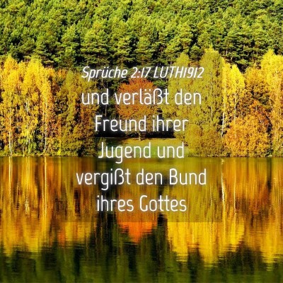 Picture 04 - Sprüche 2:17 LUTH1912 - und verläßt den Freund ihrer Jugend und - Bible Verse Picture