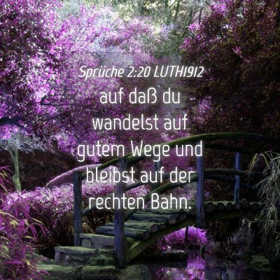 Picture 04 - Sprüche 2:20 LUTH1912 - auf daß du wandelst auf gutem Wege und bleibst - Bible Verse Picture