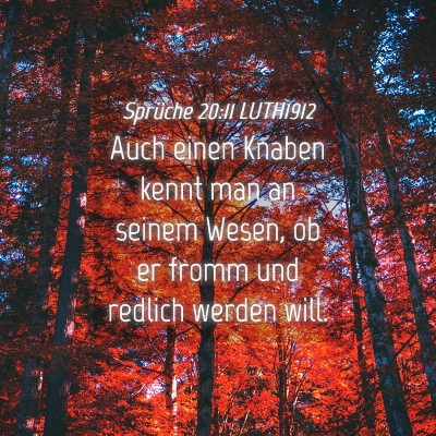 Picture 04 - Sprüche 20:11 LUTH1912 - Auch einen Knaben kennt man an seinem Wesen, ob - Bible Verse Picture
