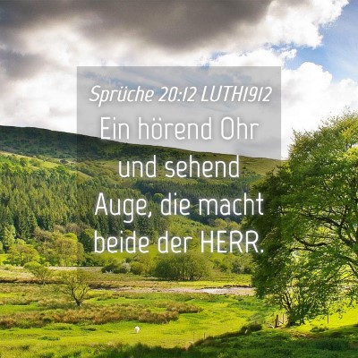 Picture 04 - Sprüche 20:12 LUTH1912 - Ein hörend Ohr und sehend Auge, die macht beide - Bible Verse Picture