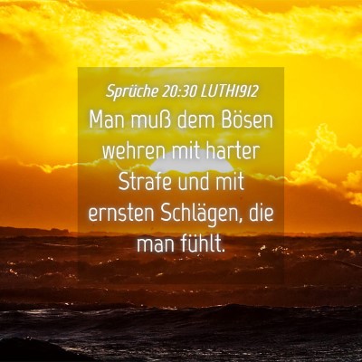 Picture 04 - Sprüche 20:30 LUTH1912 - Man muß dem Bösen wehren mit harter Strafe und - Bible Verse Picture