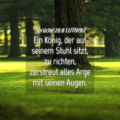 Picture 04 - Sprüche 20:8 LUTH1912 - Ein König, der auf seinem Stuhl sitzt, zu - Bible Verse Picture