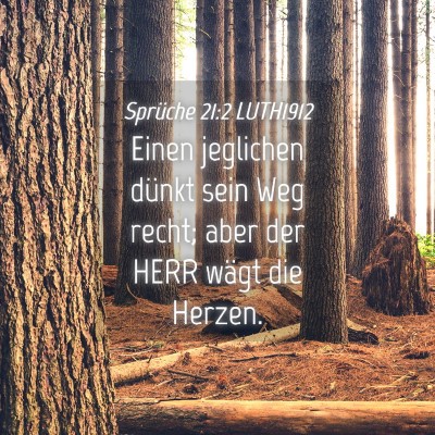 Picture 04 - Sprüche 21:2 LUTH1912 - Einen jeglichen dünkt sein Weg recht; aber der - Bible Verse Picture