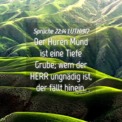 Picture 04 - Sprüche 22:14 LUTH1912 - Der Huren Mund ist eine Tiefe Grube; wem der HERR - Bible Verse Picture
