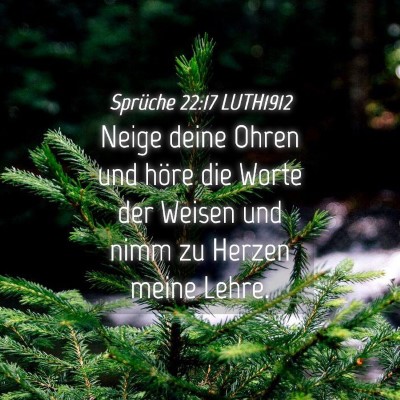 Picture 04 - Sprüche 22:17 LUTH1912 - Neige deine Ohren und höre die Worte der Weisen - Bible Verse Picture