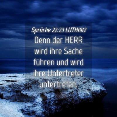 Picture 04 - Sprüche 22:23 LUTH1912 - Denn der HERR wird ihre Sache führen und wird - Bible Verse Picture