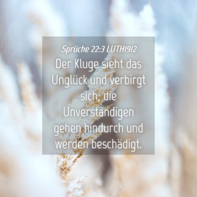 Picture 04 - Sprüche 22:3 LUTH1912 - Der Kluge sieht das Unglück und verbirgt sich; - Bible Verse Picture