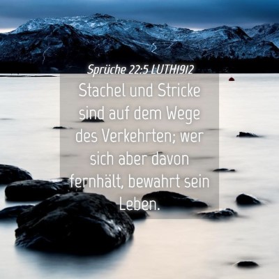 Picture 04 - Sprüche 22:5 LUTH1912 - Stachel und Stricke sind auf dem Wege des - Bible Verse Picture