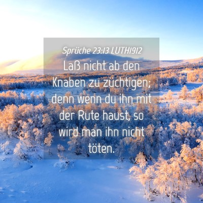 Picture 04 - Sprüche 23:13 LUTH1912 - Laß nicht ab den Knaben zu züchtigen; denn wenn - Bible Verse Picture