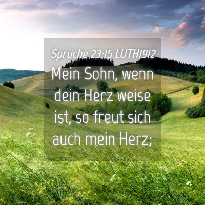 Picture 04 - Sprüche 23:15 LUTH1912 - Mein Sohn, wenn dein Herz weise ist, so freut - Bible Verse Picture