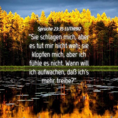 Picture 04 - Sprüche 23:35 LUTH1912 - “Sie schlagen mich, aber es tut mir nicht weh; - Bible Verse Picture