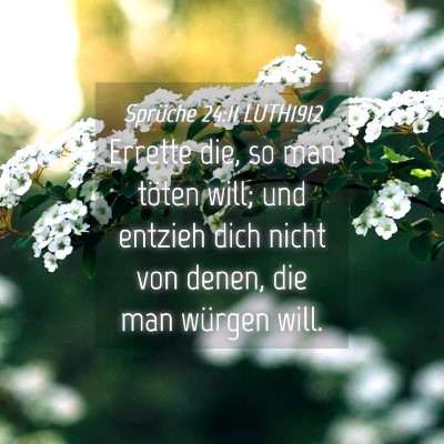 Picture 04 - Sprüche 24:11 LUTH1912 - Errette die, so man töten will; und entzieh dich - Bible Verse Picture