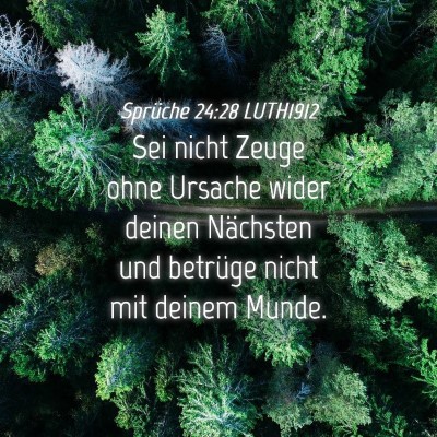 Picture 04 - Sprüche 24:28 LUTH1912 - Sei nicht Zeuge ohne Ursache wider deinen - Bible Verse Picture