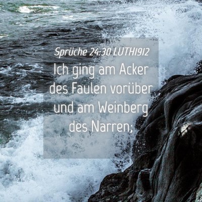 Picture 04 - Sprüche 24:30 LUTH1912 - Ich ging am Acker des Faulen vorüber und am - Bible Verse Picture