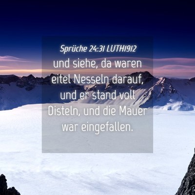 Picture 04 - Sprüche 24:31 LUTH1912 - und siehe, da waren eitel Nesseln darauf, und er - Bible Verse Picture