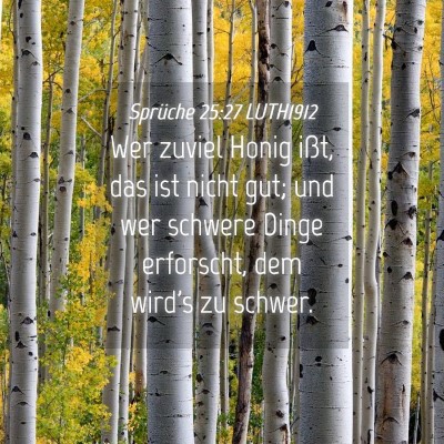 Picture 04 - Sprüche 25:27 LUTH1912 - Wer zuviel Honig ißt, das ist nicht gut; und wer - Bible Verse Picture