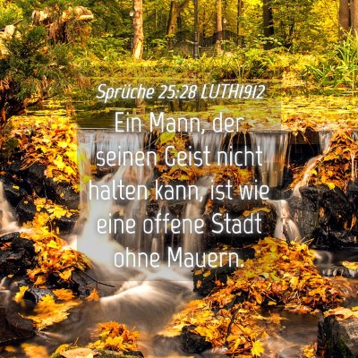 Picture 04 - Sprüche 25:28 LUTH1912 - Ein Mann, der seinen Geist nicht halten kann, ist - Bible Verse Picture