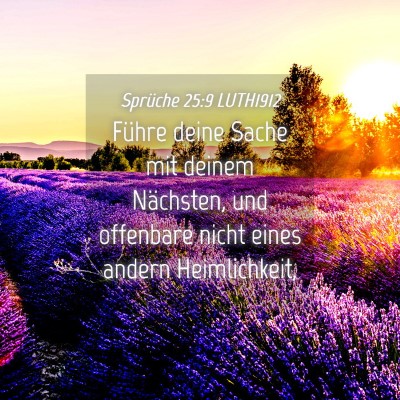 Picture 04 - Sprüche 25:9 LUTH1912 - Führe deine Sache mit deinem Nächsten, und - Bible Verse Picture
