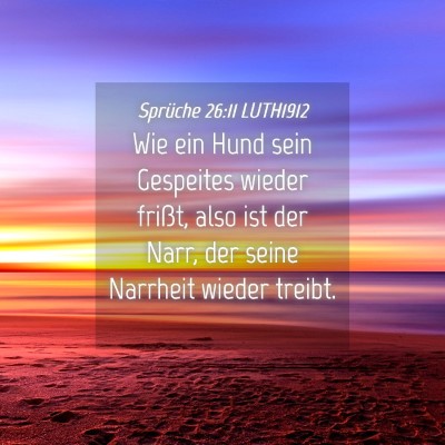 Picture 04 - Sprüche 26:11 LUTH1912 - Wie ein Hund sein Gespeites wieder frißt, also - Bible Verse Picture