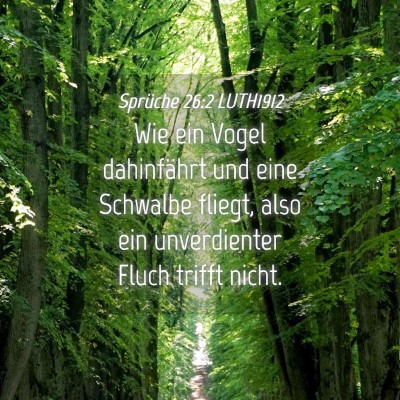 Picture 04 - Sprüche 26:2 LUTH1912 - Wie ein Vogel dahinfährt und eine Schwalbe - Bible Verse Picture