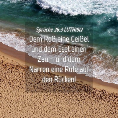 Picture 04 - Sprüche 26:3 LUTH1912 - Dem Roß eine Geißel und dem Esel einen Zaum und - Bible Verse Picture