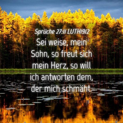 Picture 04 - Sprüche 27:11 LUTH1912 - Sei weise, mein Sohn, so freut sich mein Herz, so - Bible Verse Picture