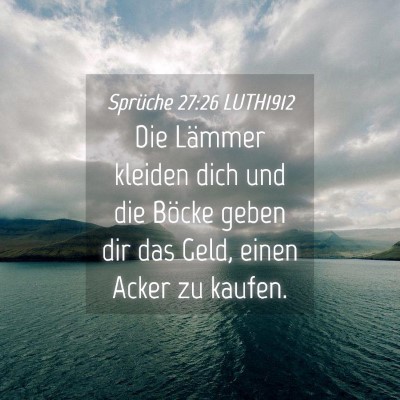 Picture 04 - Sprüche 27:26 LUTH1912 - Die Lämmer kleiden dich und die Böcke geben dir - Bible Verse Picture